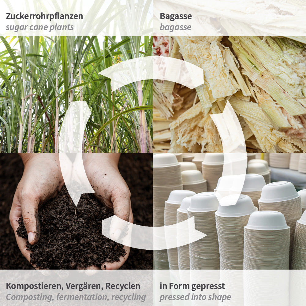 NATURStar Økologiske måltidskasser med hængslede låg | Sukkerrør