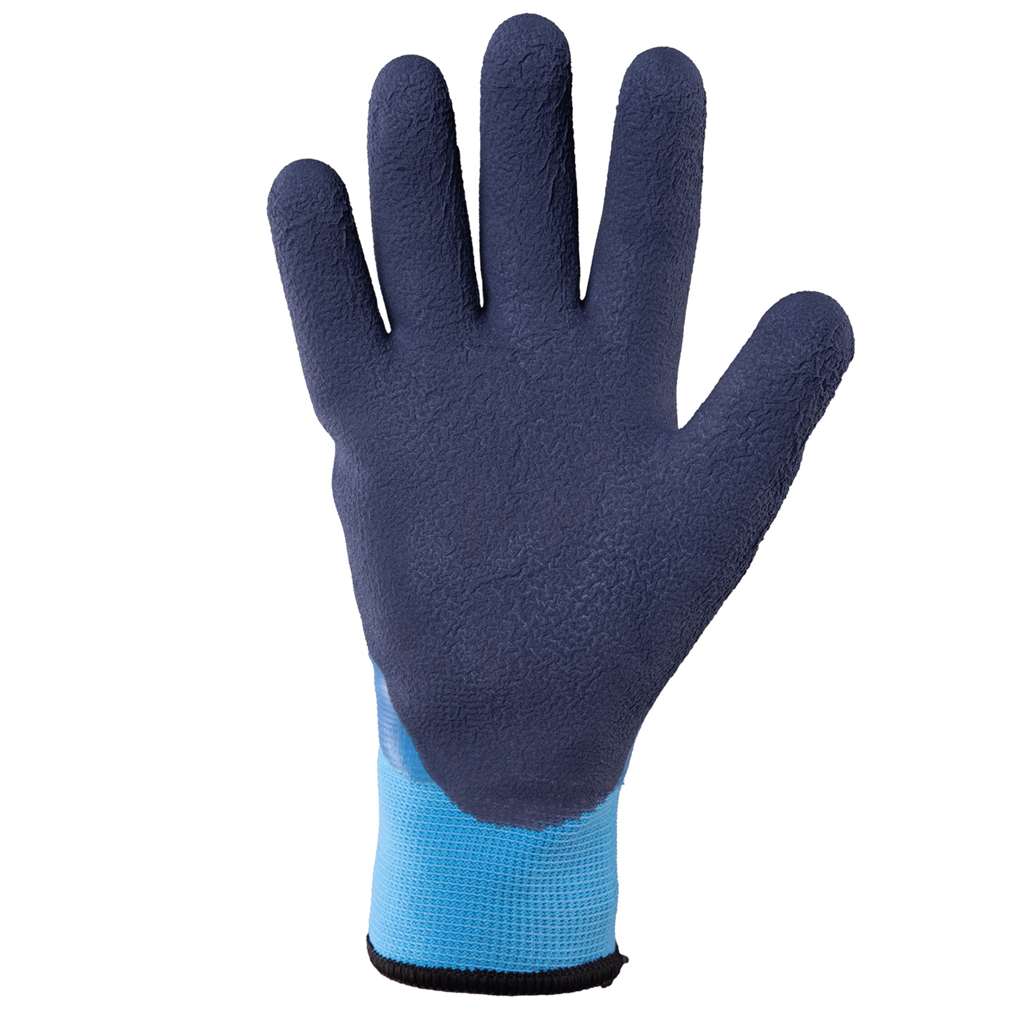 Raptor Vinter - 1 Par
