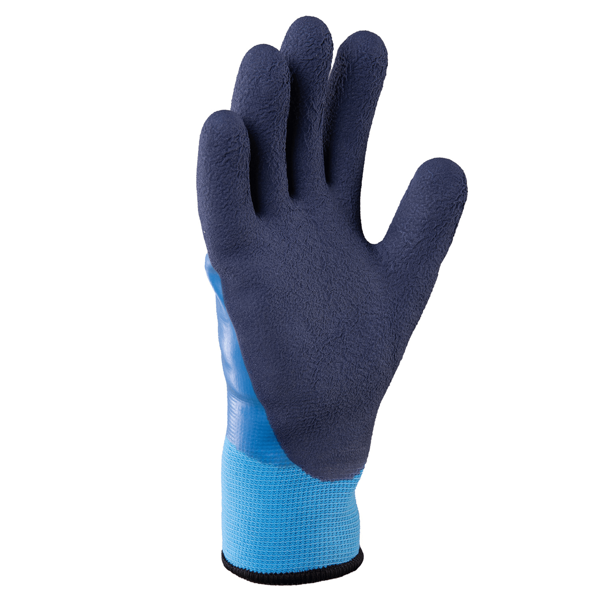 Raptor Vinter - 1 Par