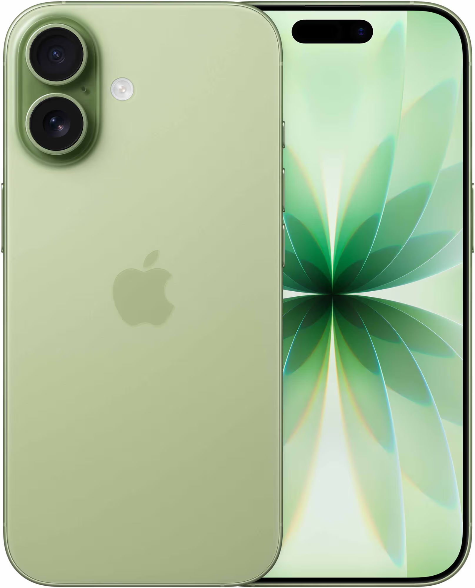 iPhone 17 5G smartphone 256GB Sort