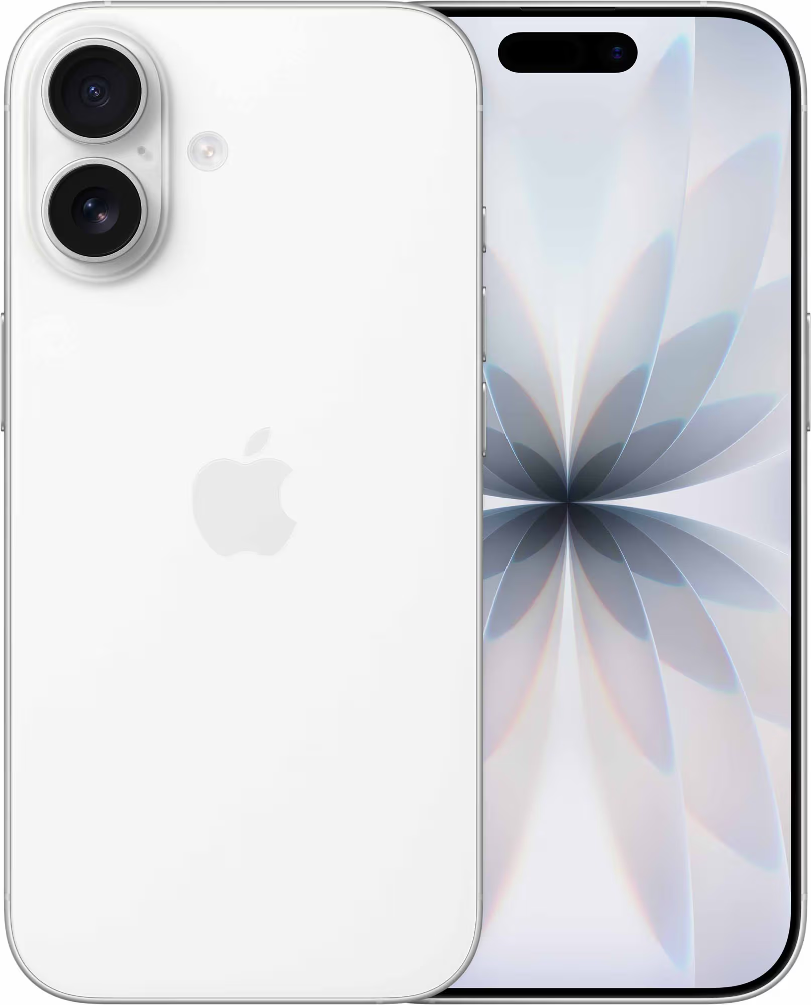 iPhone 17 5G smartphone 256GB Sort